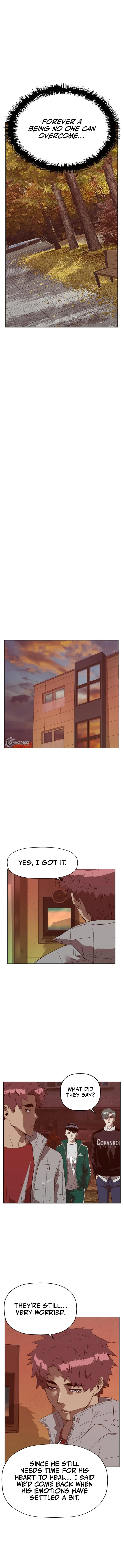 Read Weak Hero EN Manga Online