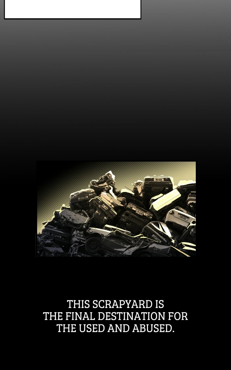 Read Youth Blossoms EN Manga Online