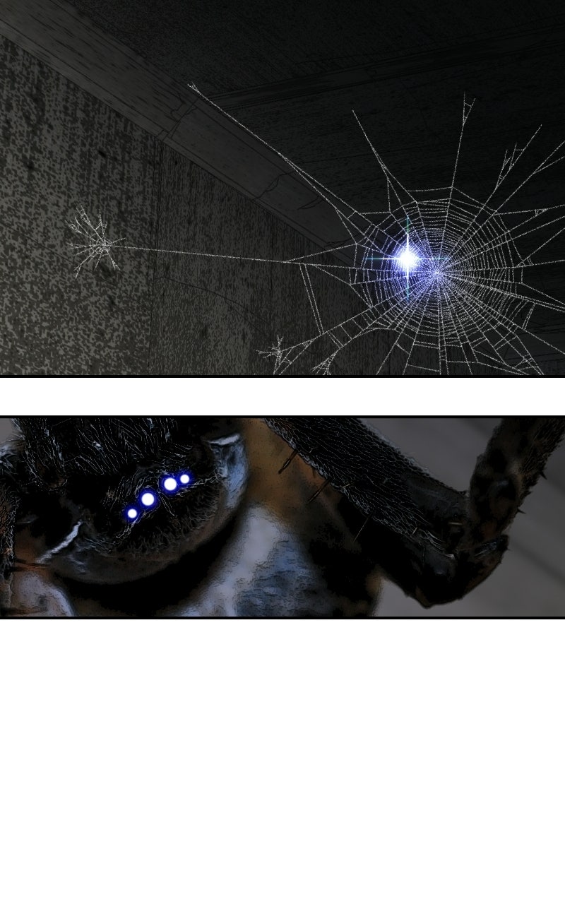 Read Youth Blossoms EN Manga Online