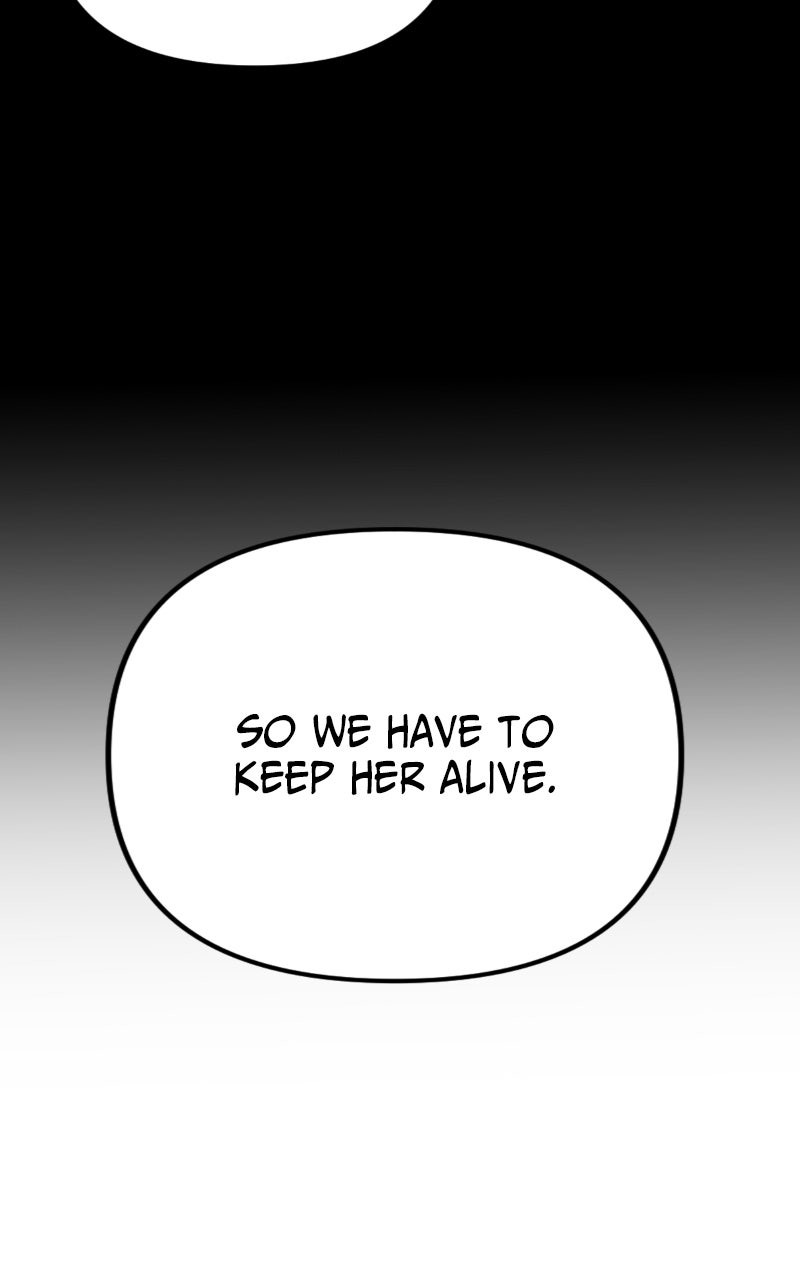 Read Youth Blossoms EN Manga Online