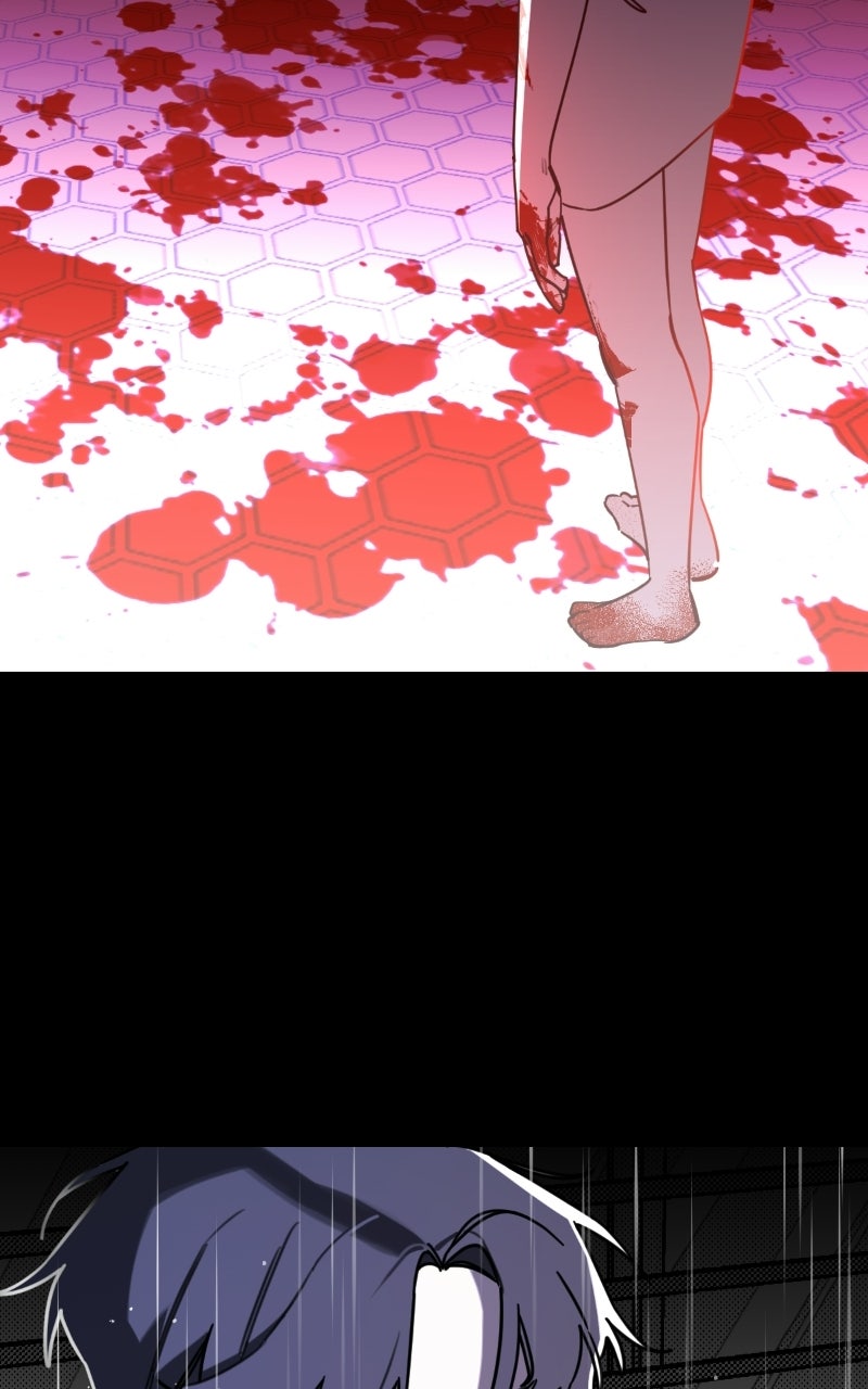 Read Youth Blossoms EN Manga Online