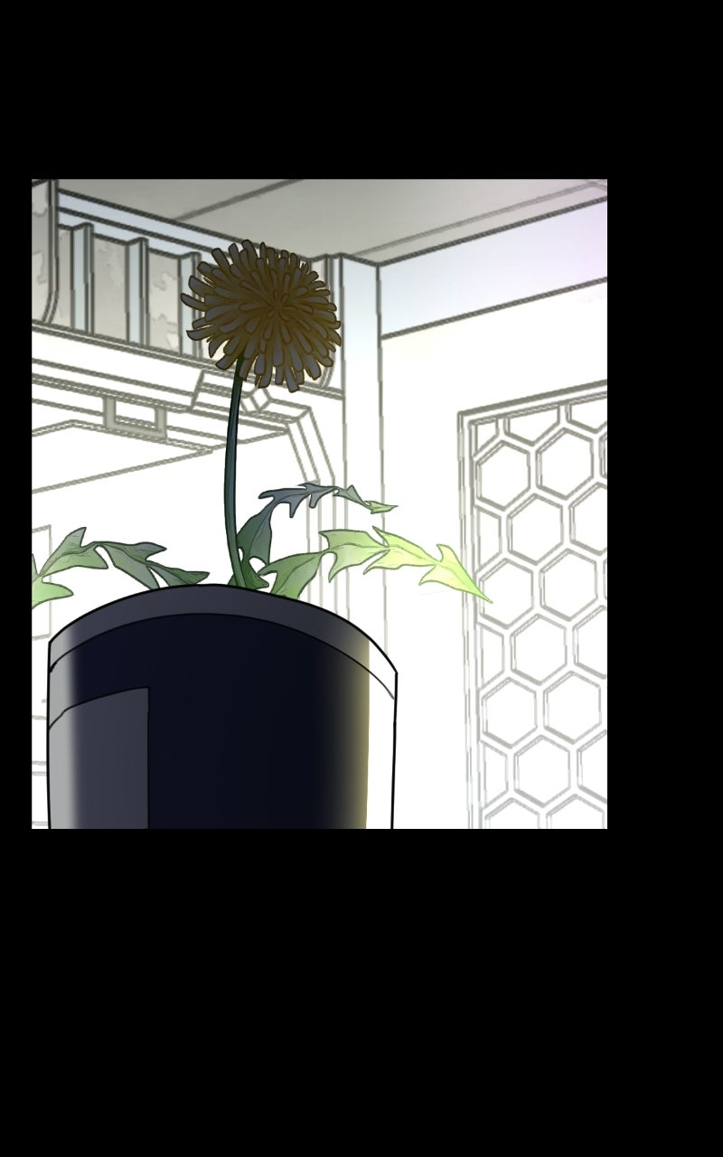 Read Youth Blossoms EN Manga Online