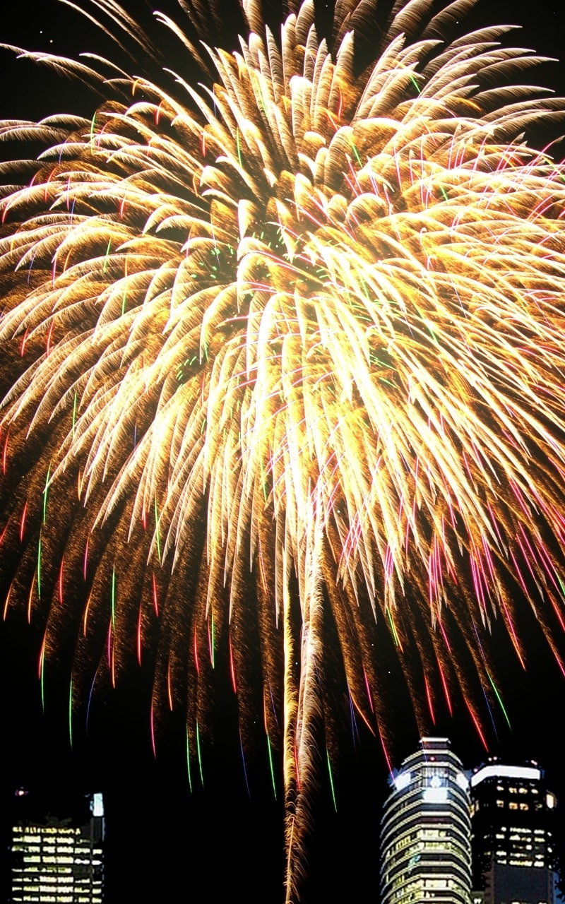 Read Youth Blossoms EN Manga Online