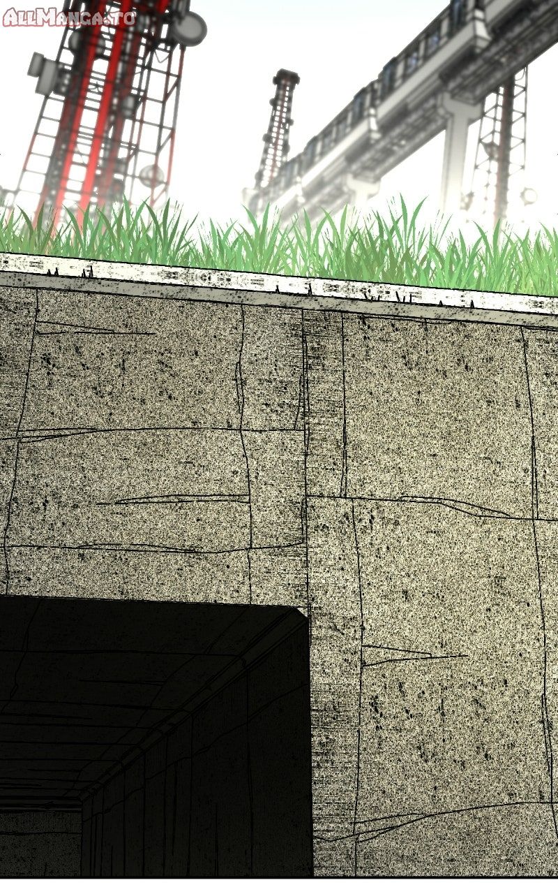 Read Youth Blossoms EN Manga Online