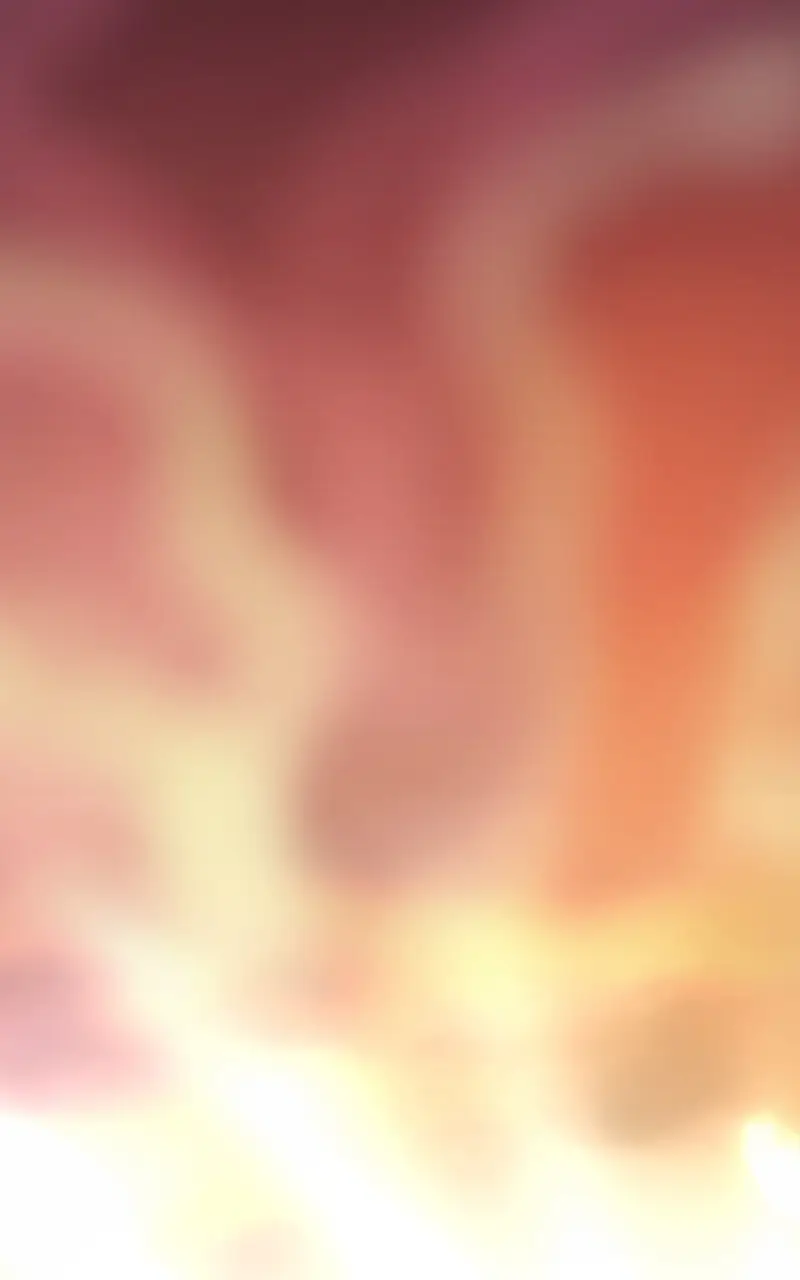 Read fox star catcher EN Manga Online