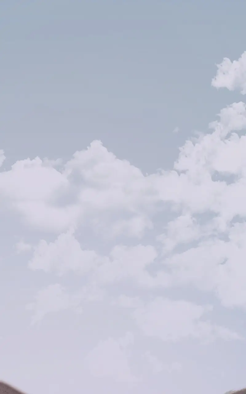 Read fox star catcher EN Manga Online