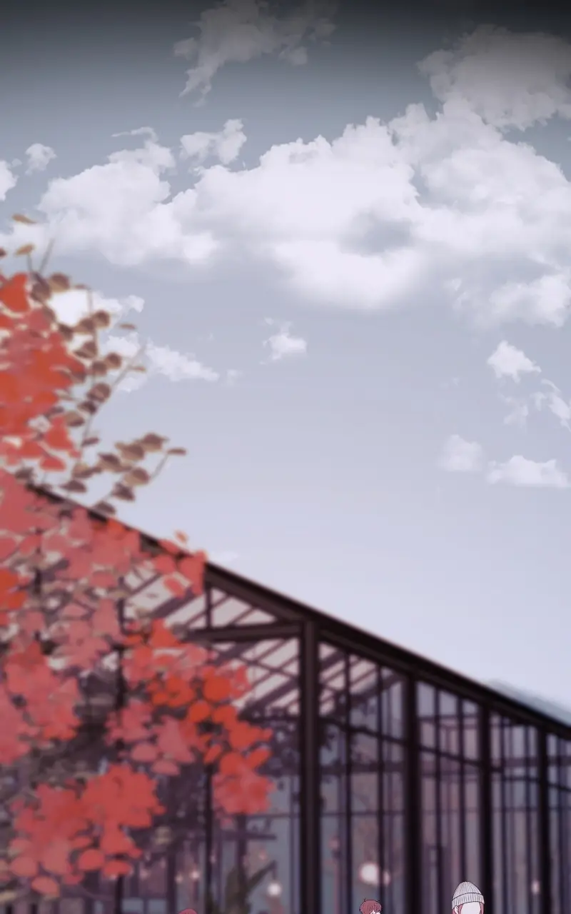 Read fox star catcher EN Manga Online