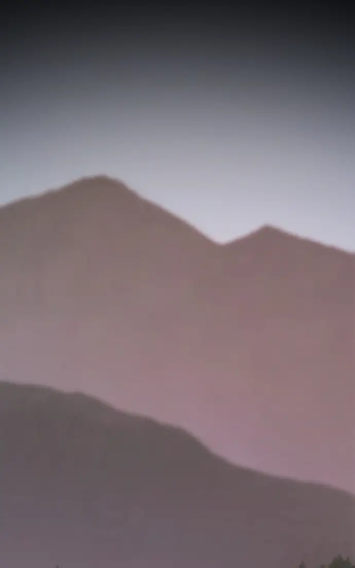 Read fox star catcher EN Manga Online