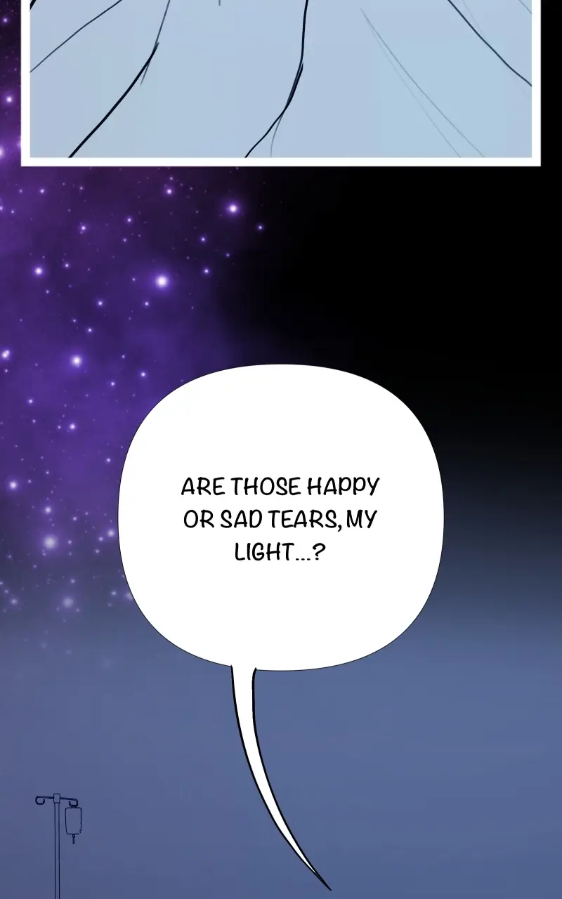 Read fox star catcher EN Manga Online