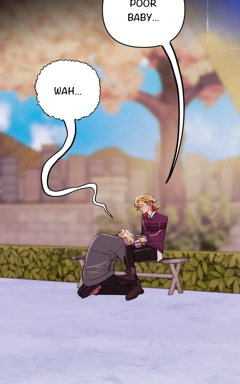 Read fox star catcher EN Manga Online