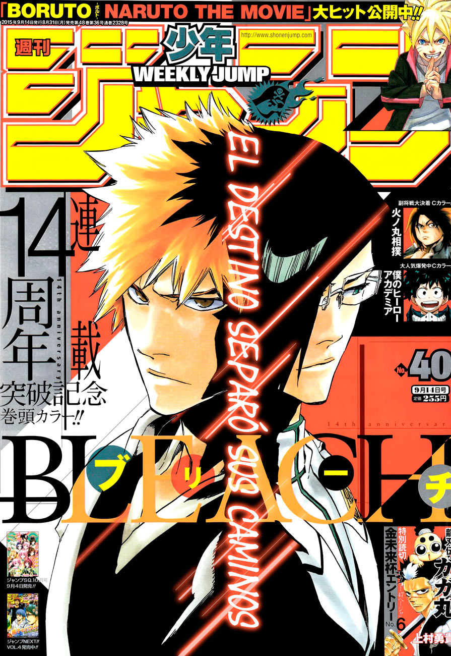 Read Bleach ES Manga Online