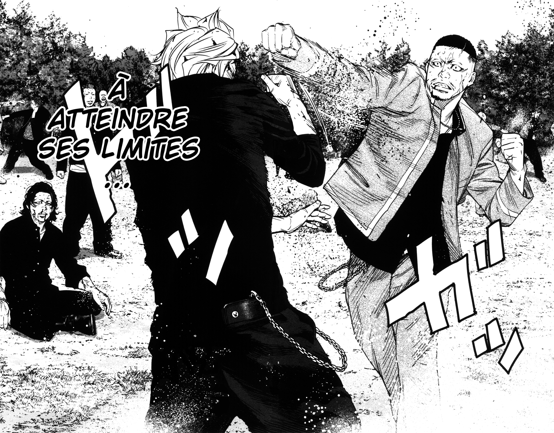 Read CROWS ZERO II FR Manga Online