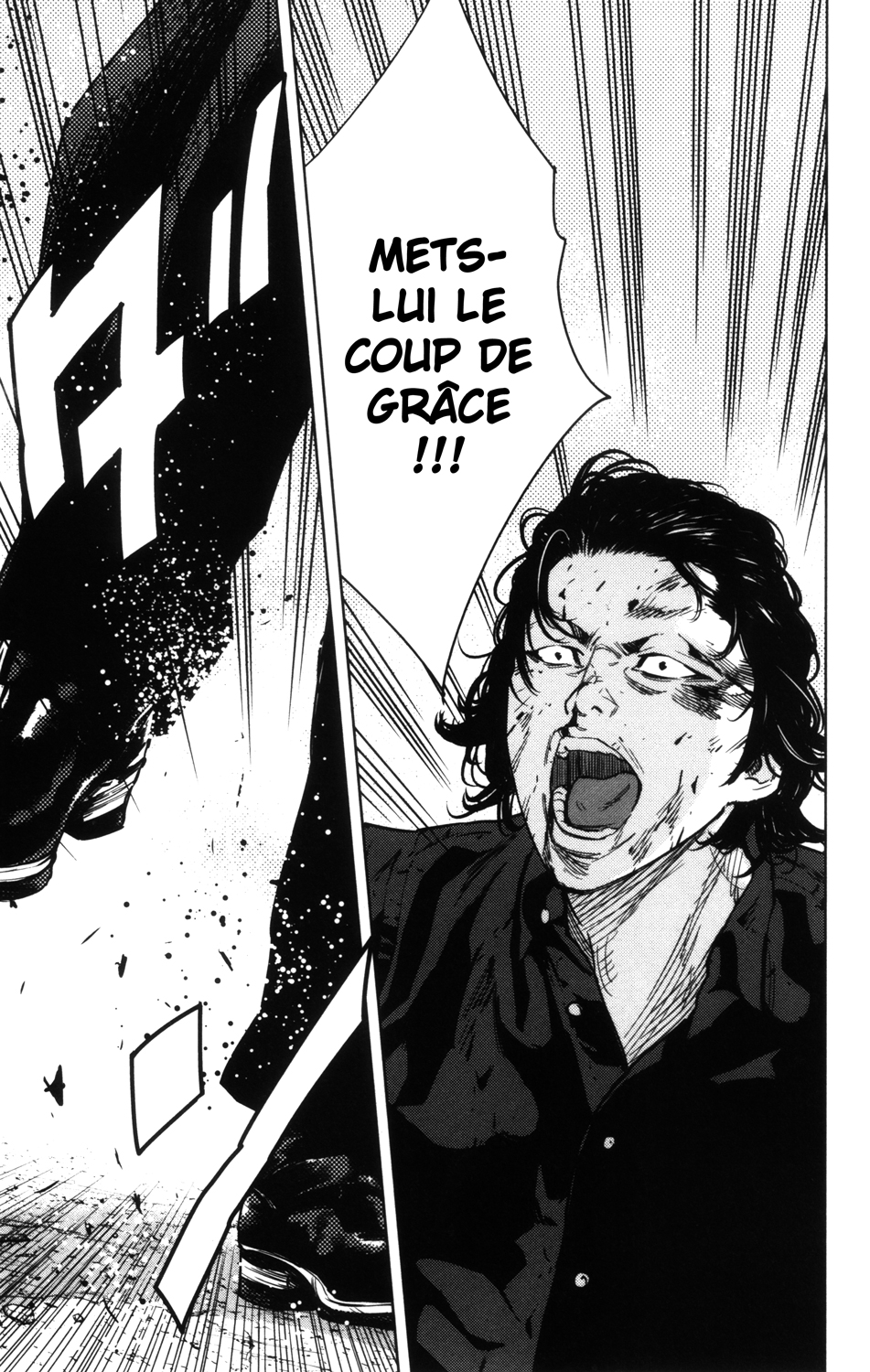 Read CROWS ZERO II FR Manga Online