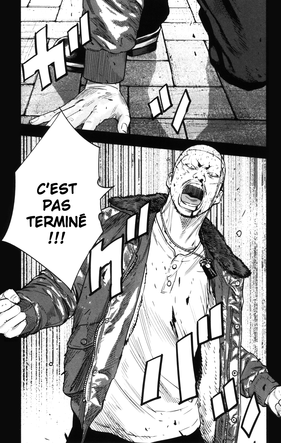 Read CROWS ZERO II FR Manga Online