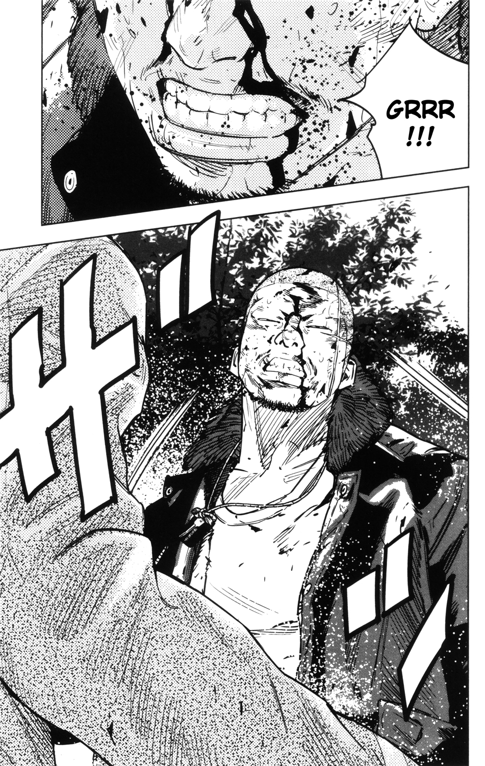 Read CROWS ZERO II FR Manga Online