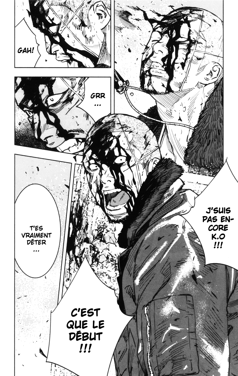 Read CROWS ZERO II FR Manga Online