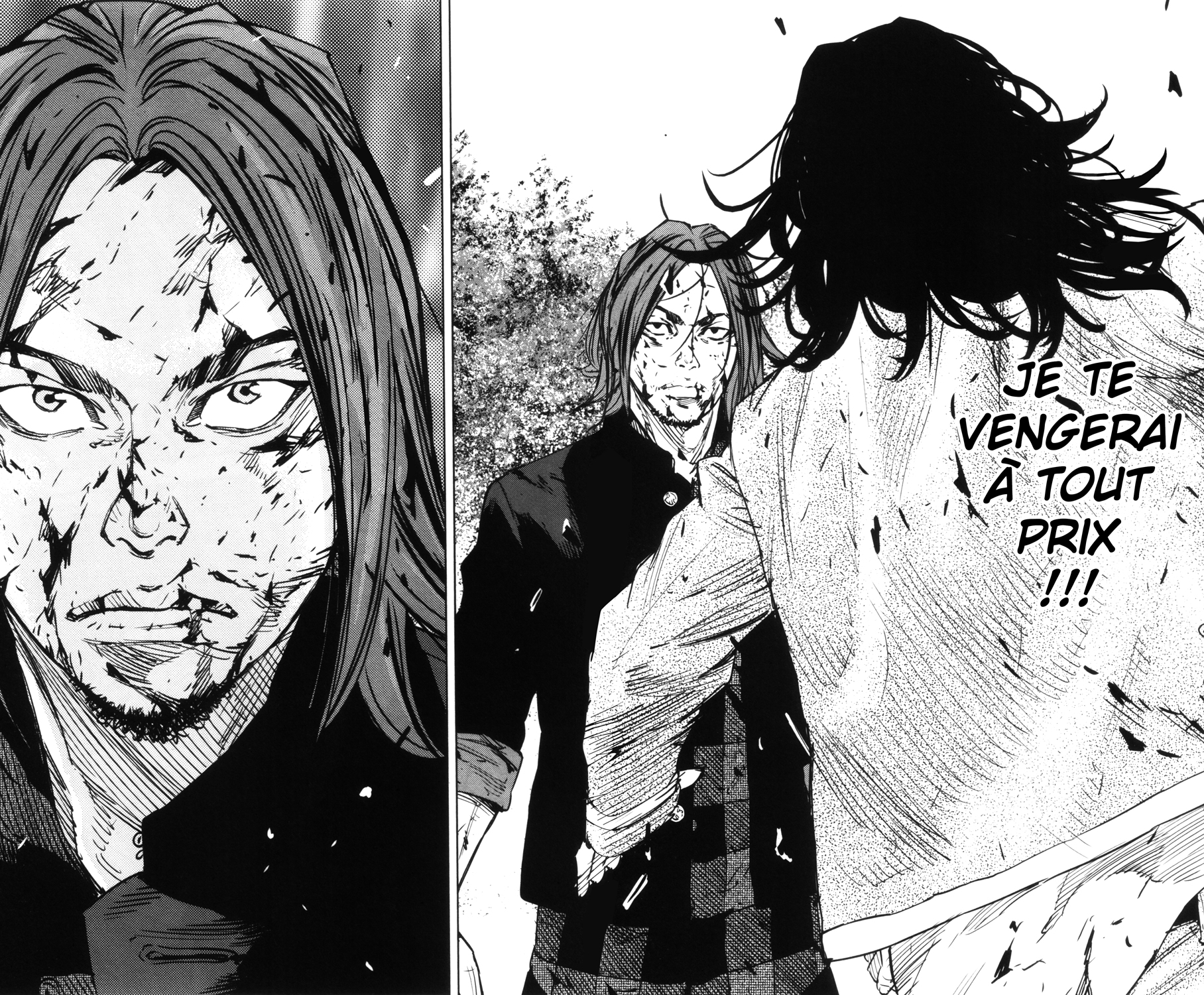 Read CROWS ZERO II FR Manga Online