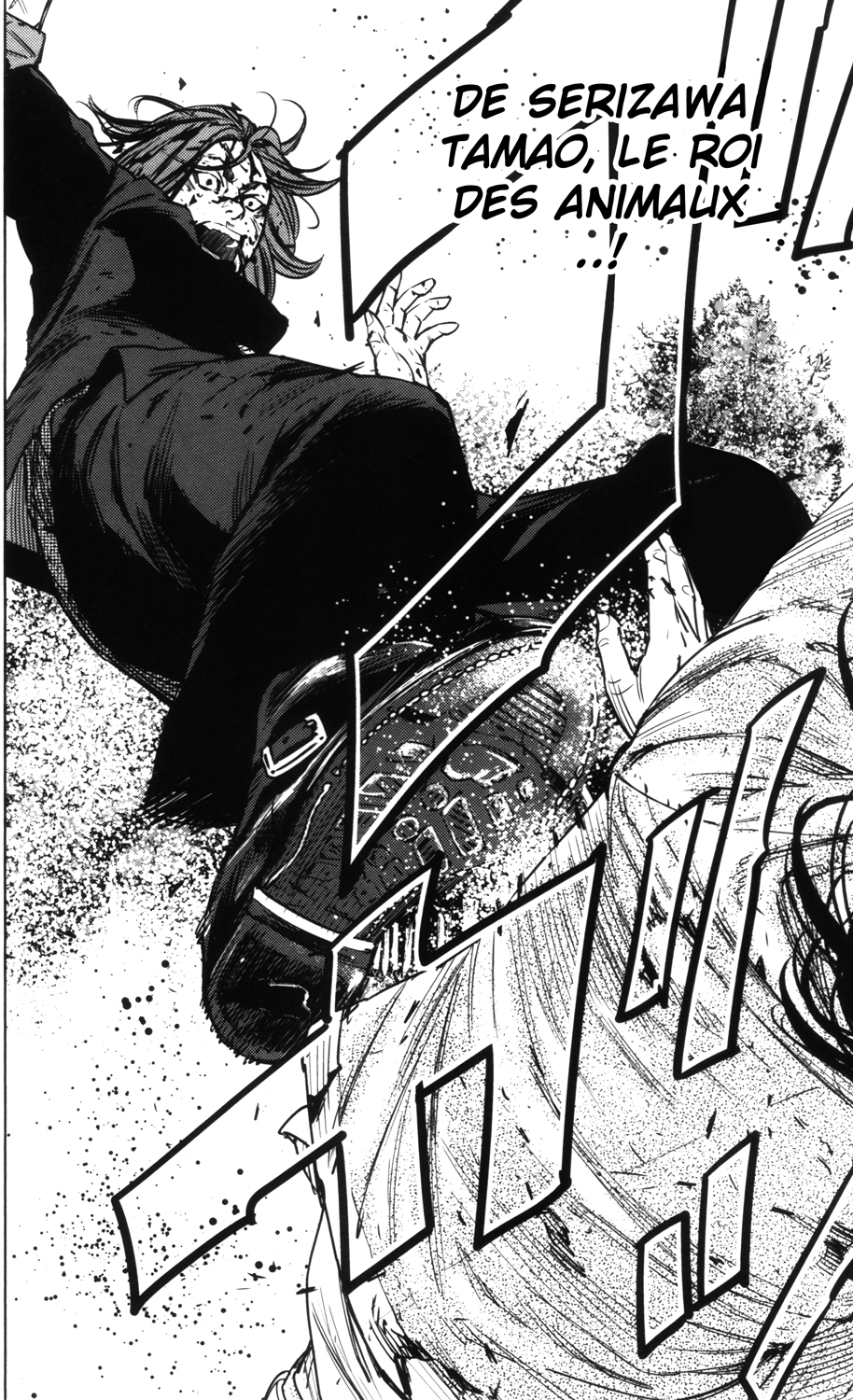 Read CROWS ZERO II FR Manga Online