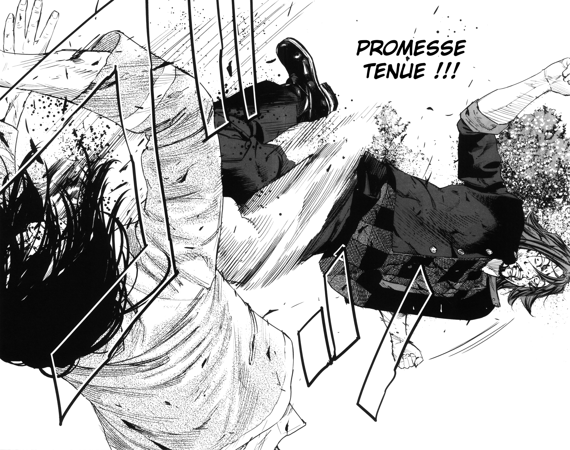 Read CROWS ZERO II FR Manga Online