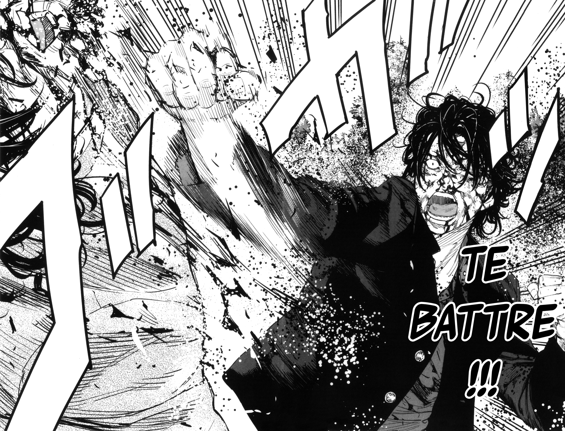 Read CROWS ZERO II FR Manga Online