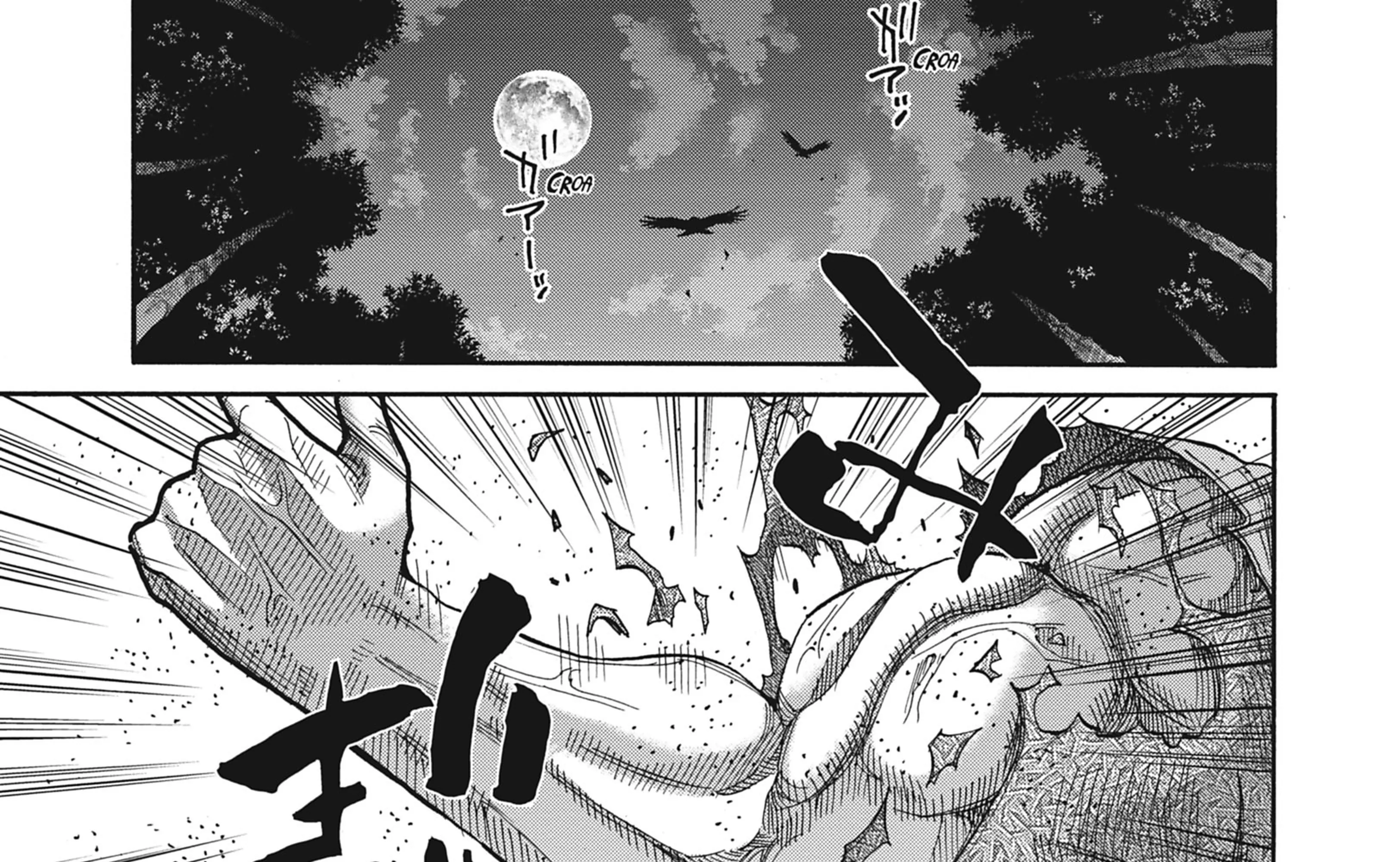 Read Chiruran FR Manga Online