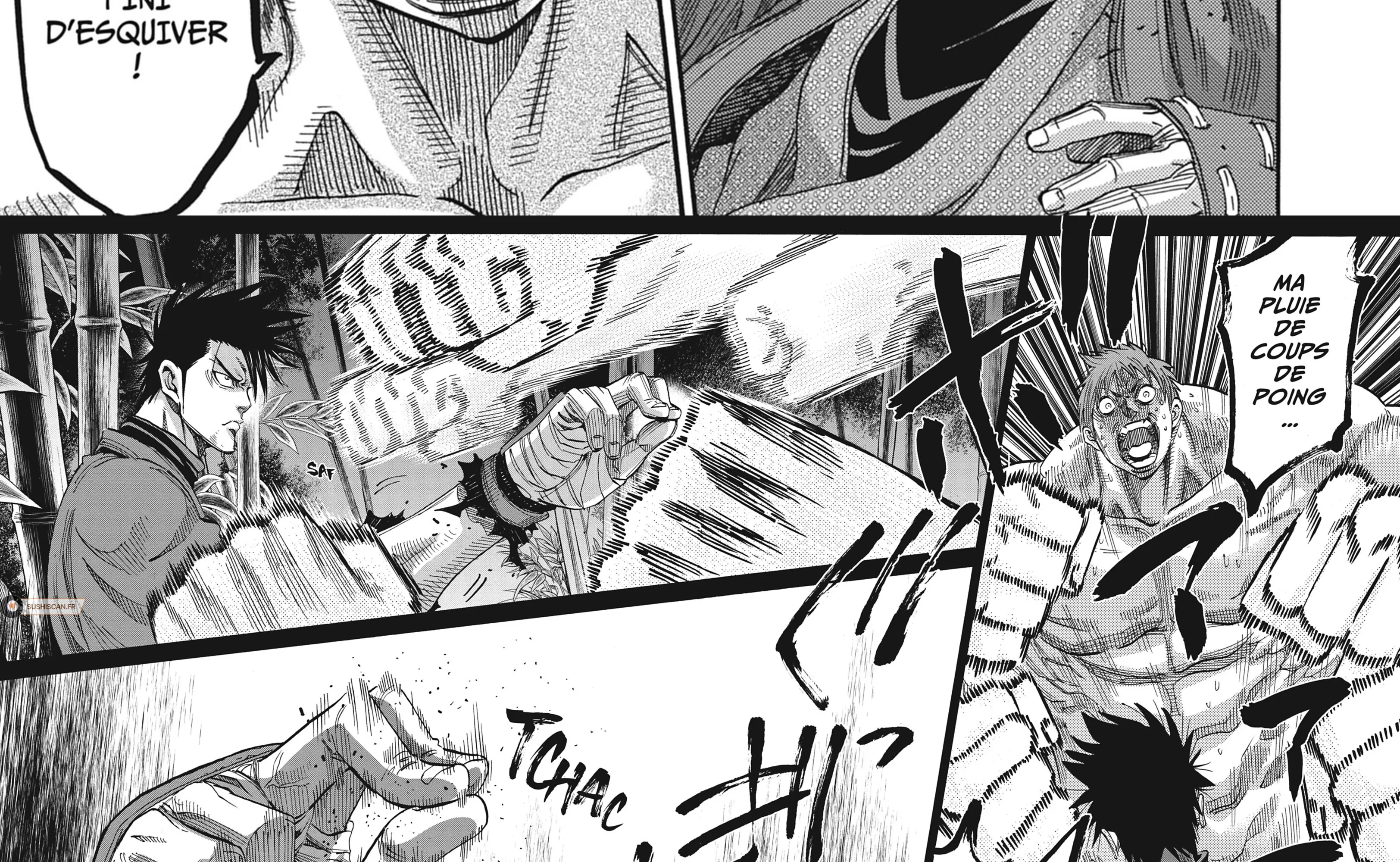 Read Chiruran FR Manga Online