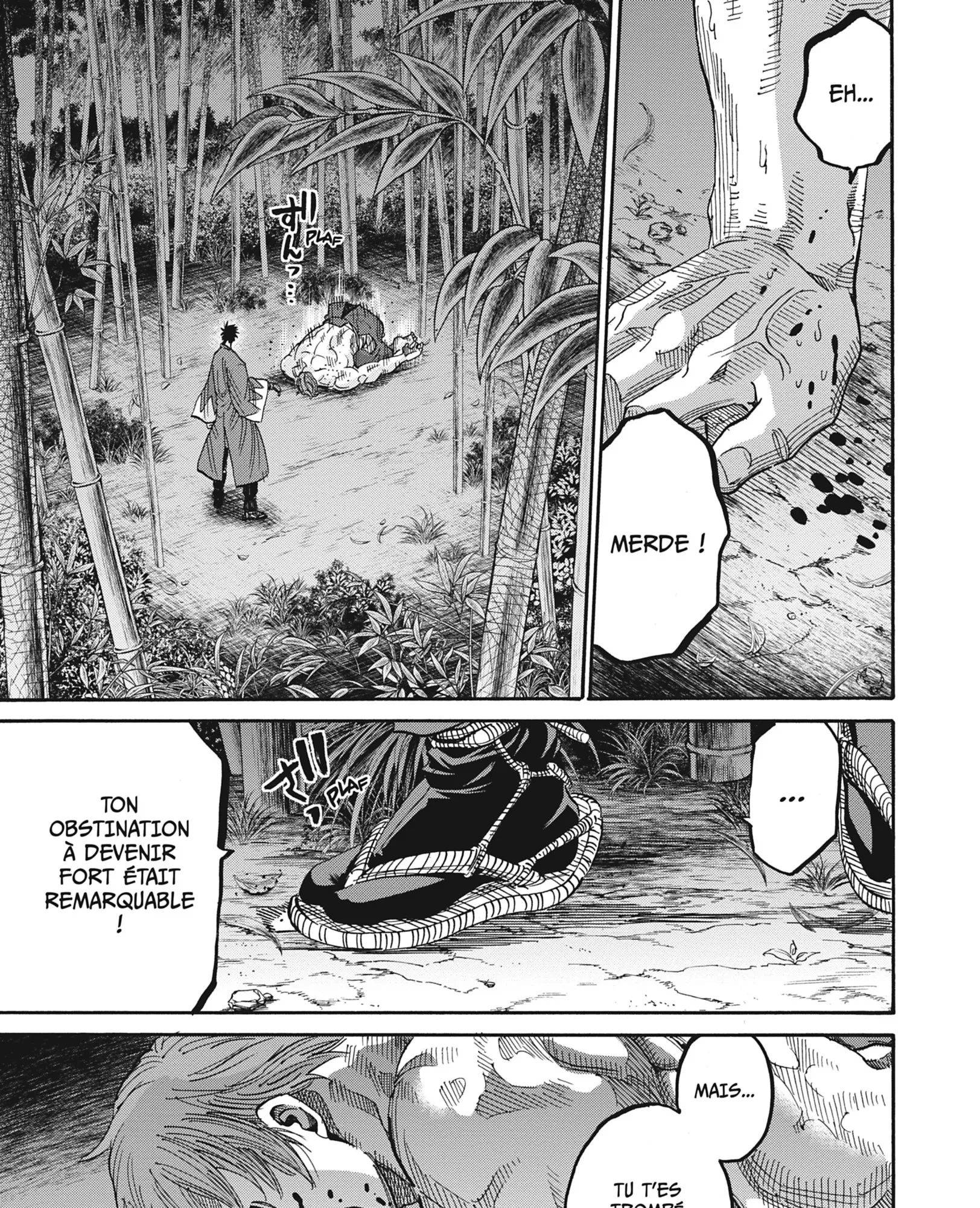 Read Chiruran FR Manga Online