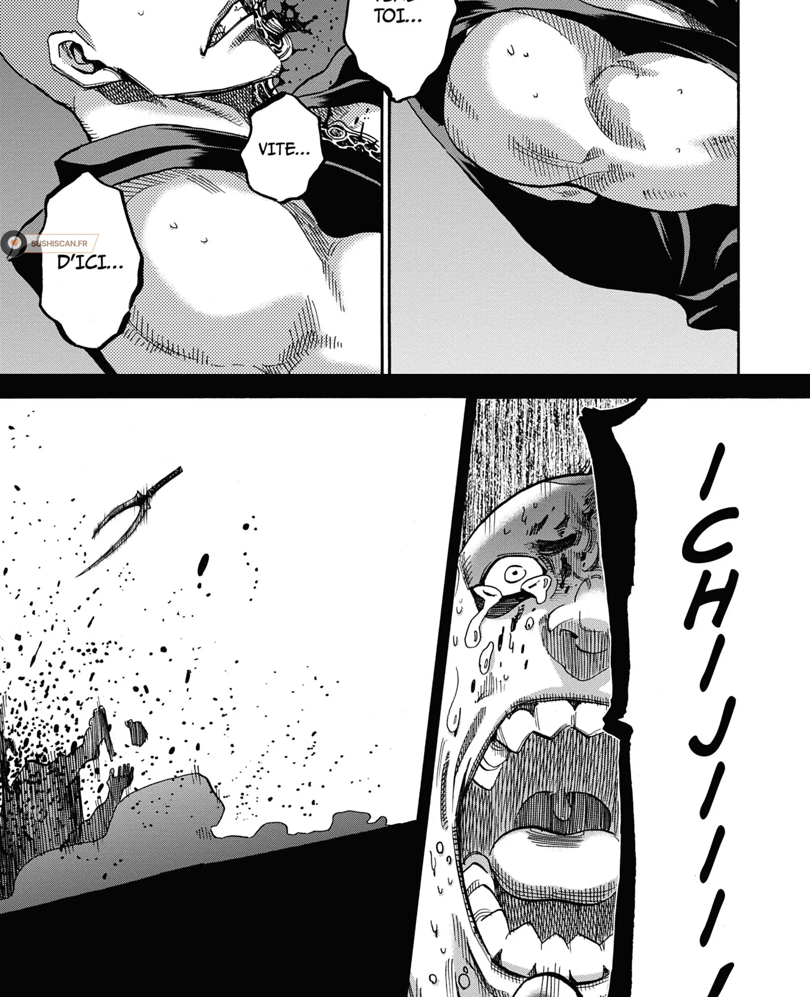 Read Chiruran FR Manga Online