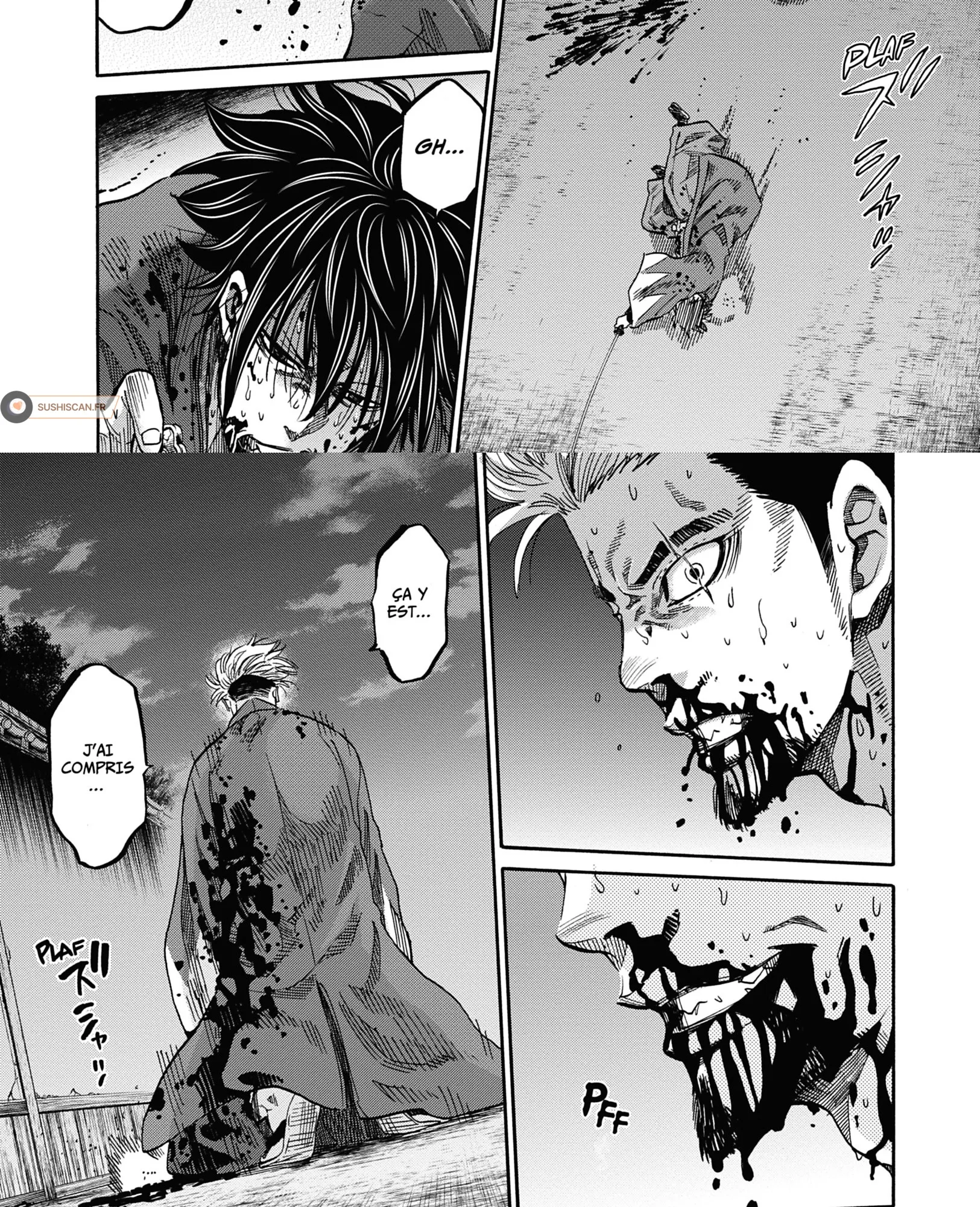 Read Chiruran FR Manga Online