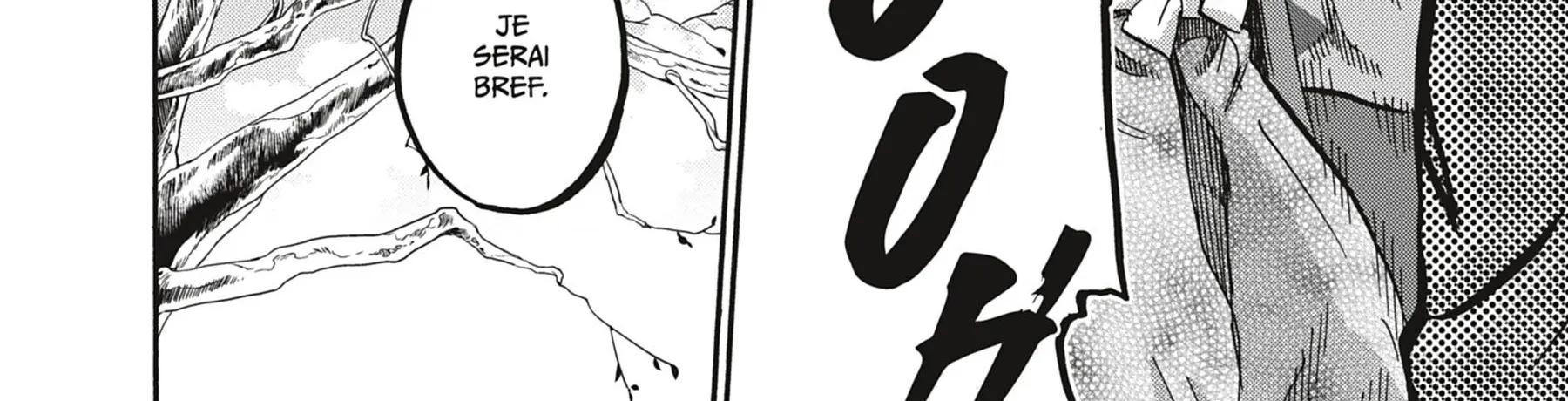 Read Chiruran FR Manga Online