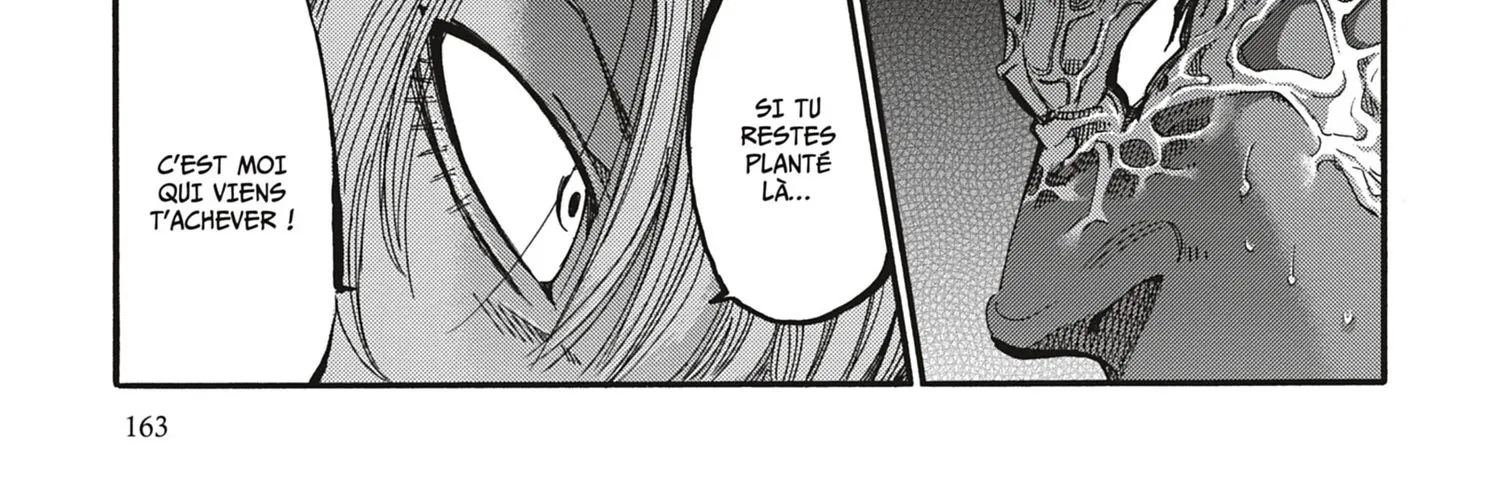 Read Chiruran FR Manga Online