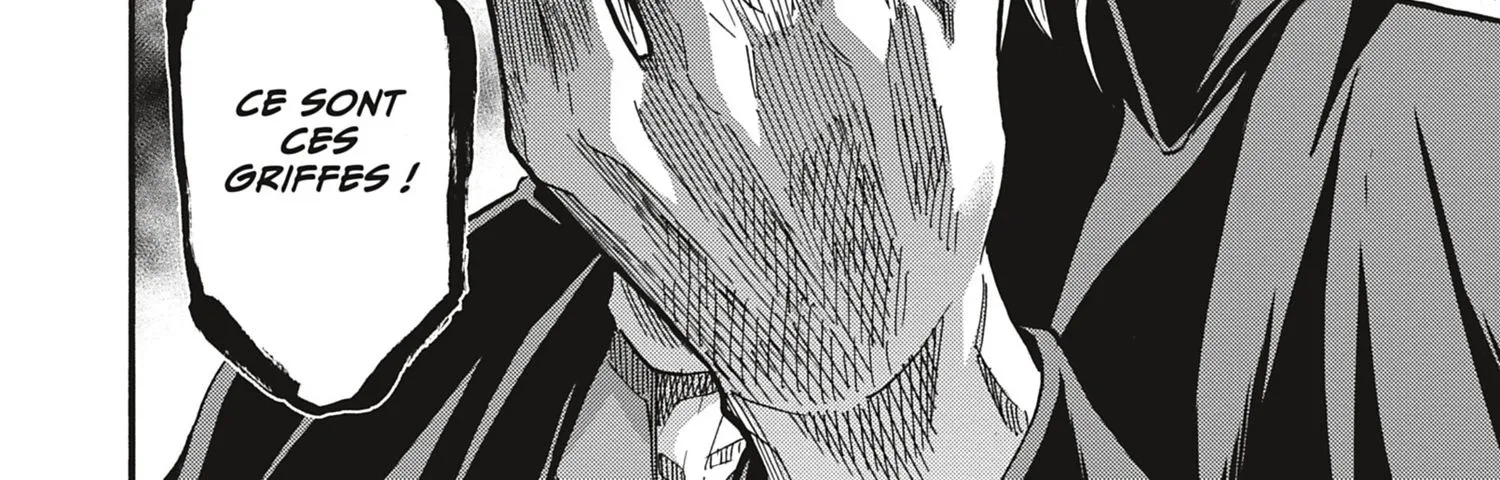 Read Chiruran FR Manga Online