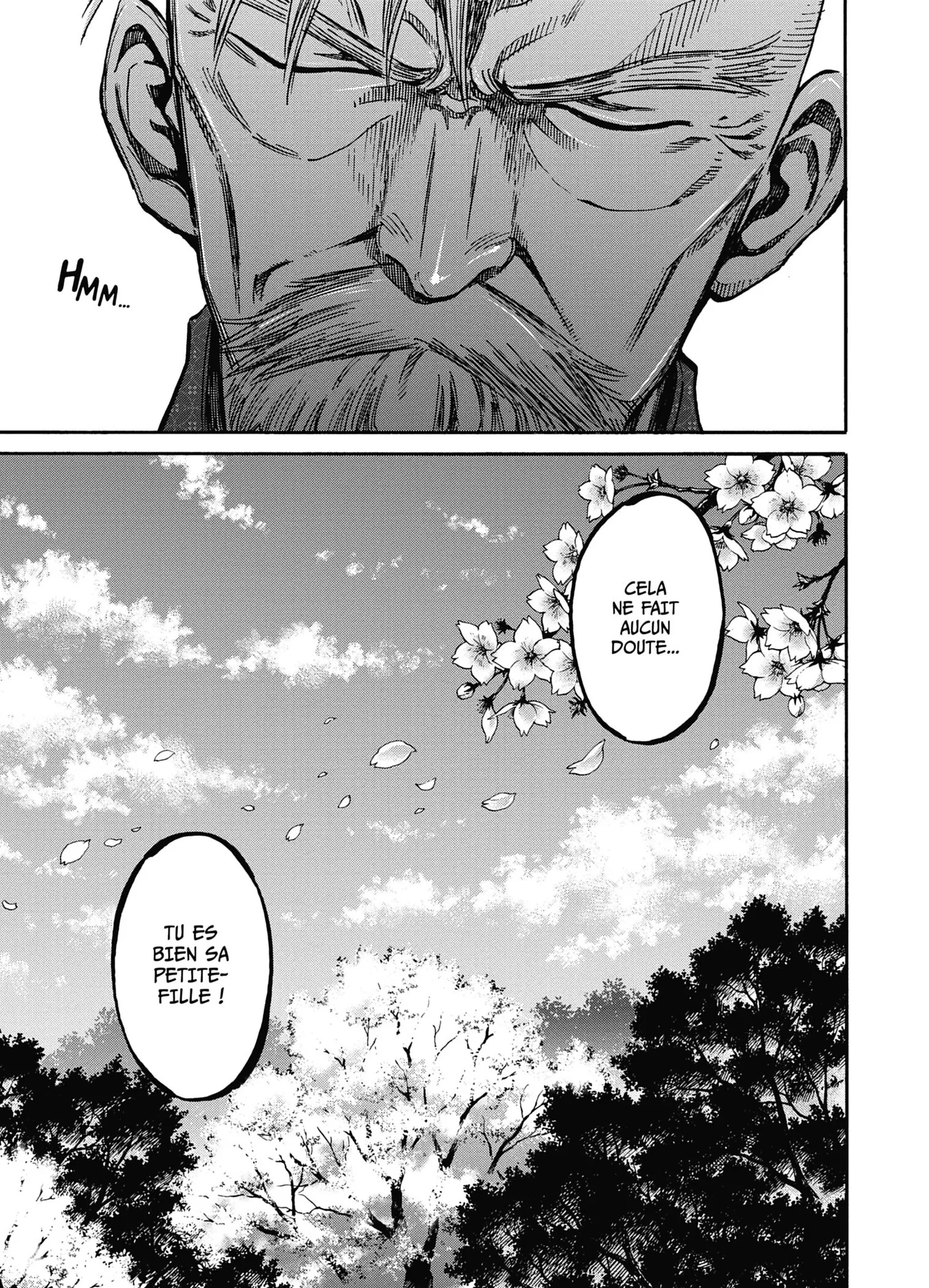 Read Chiruran FR Manga Online