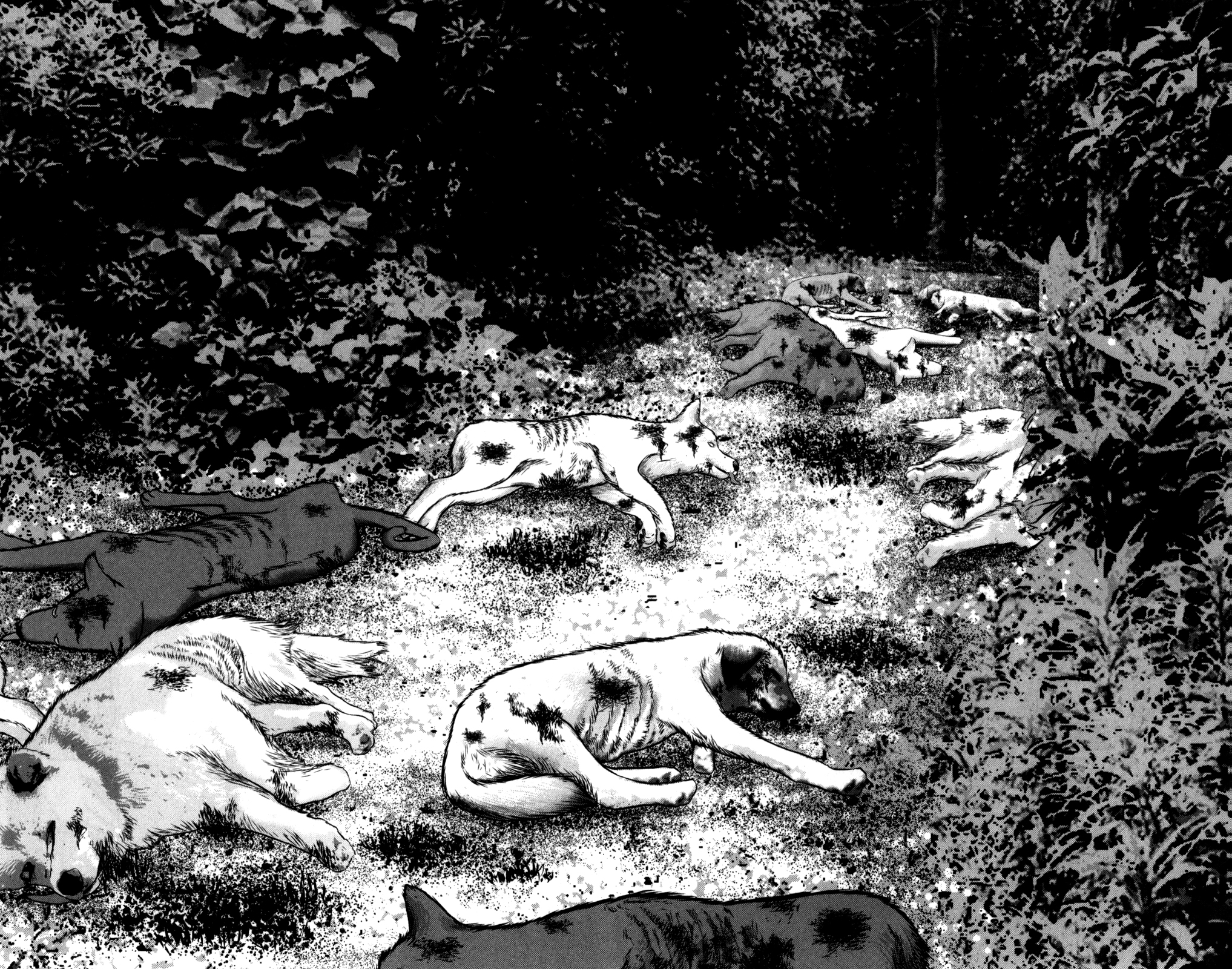 Read DROP OG FR Manga Online