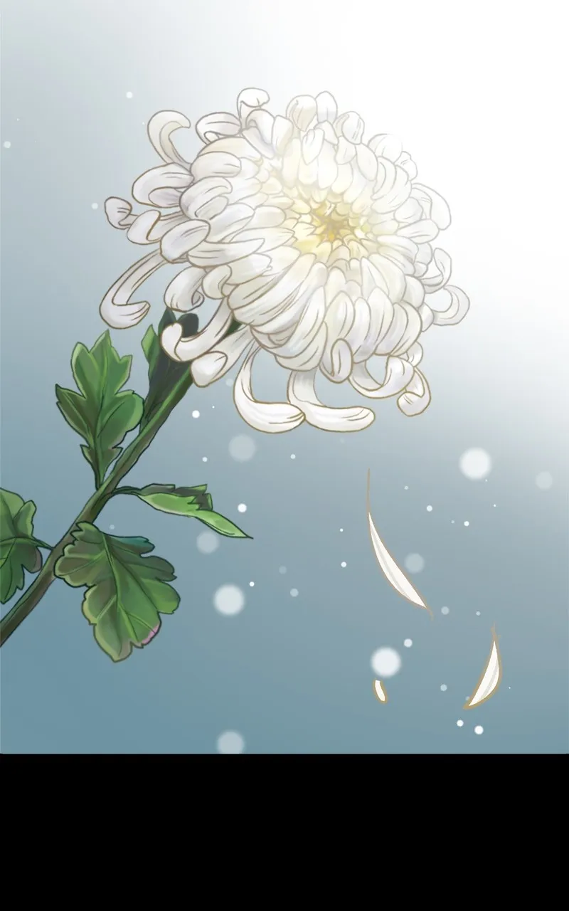 Read For The Queendom FR Manga Online