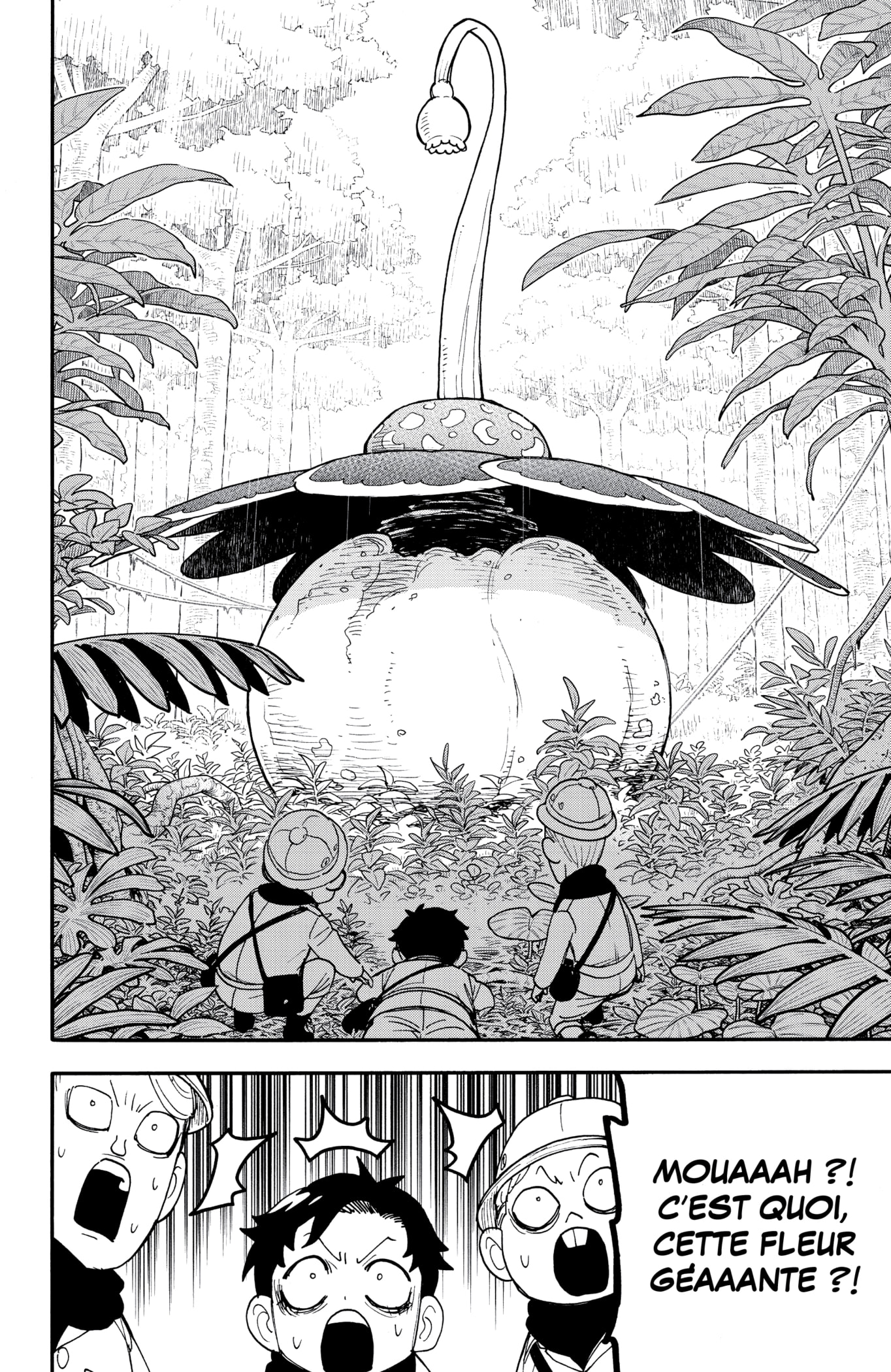 Read SPY×FAMILY FR Manga Online