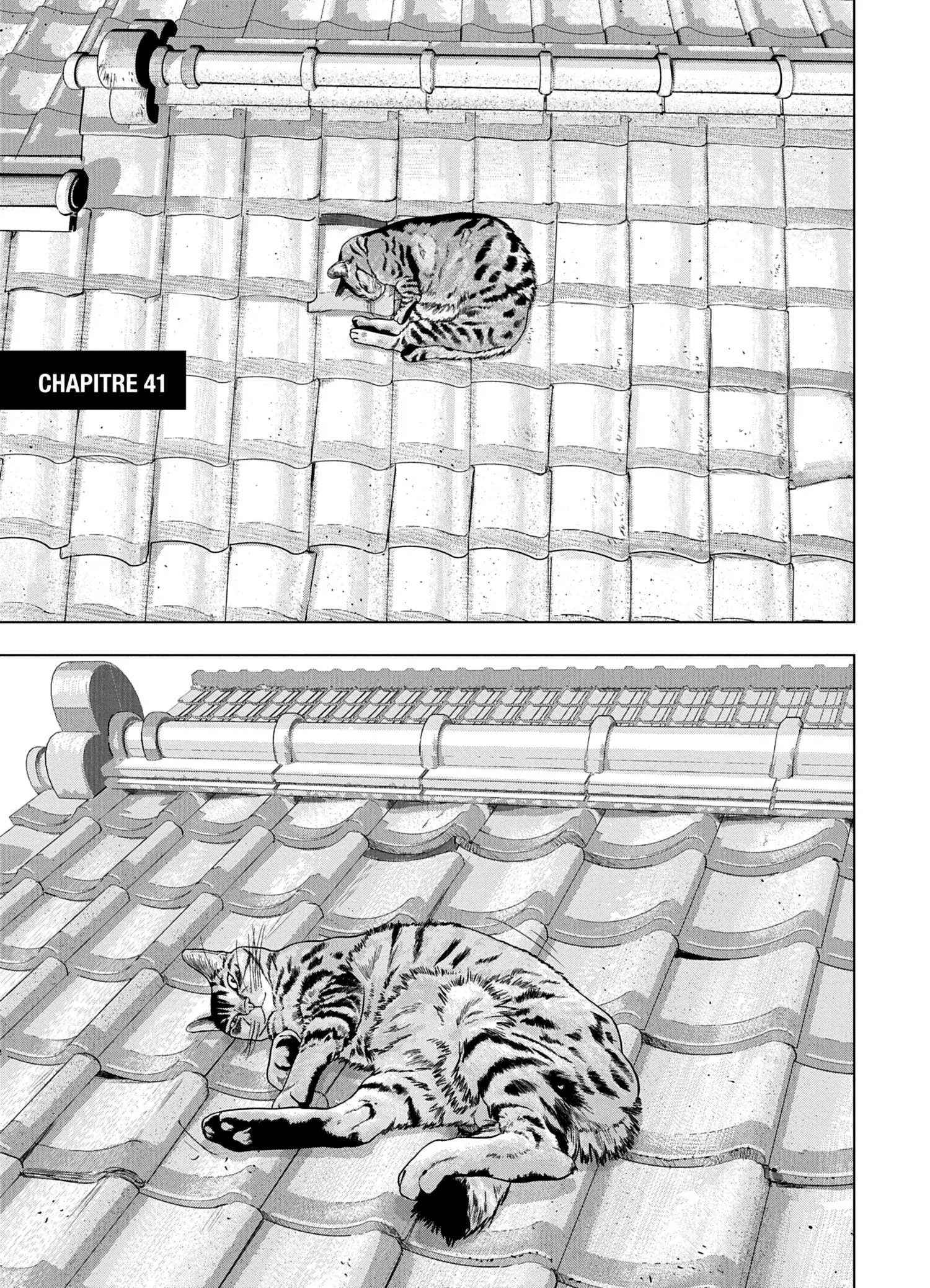 Read Under Ninja FR Manga Online