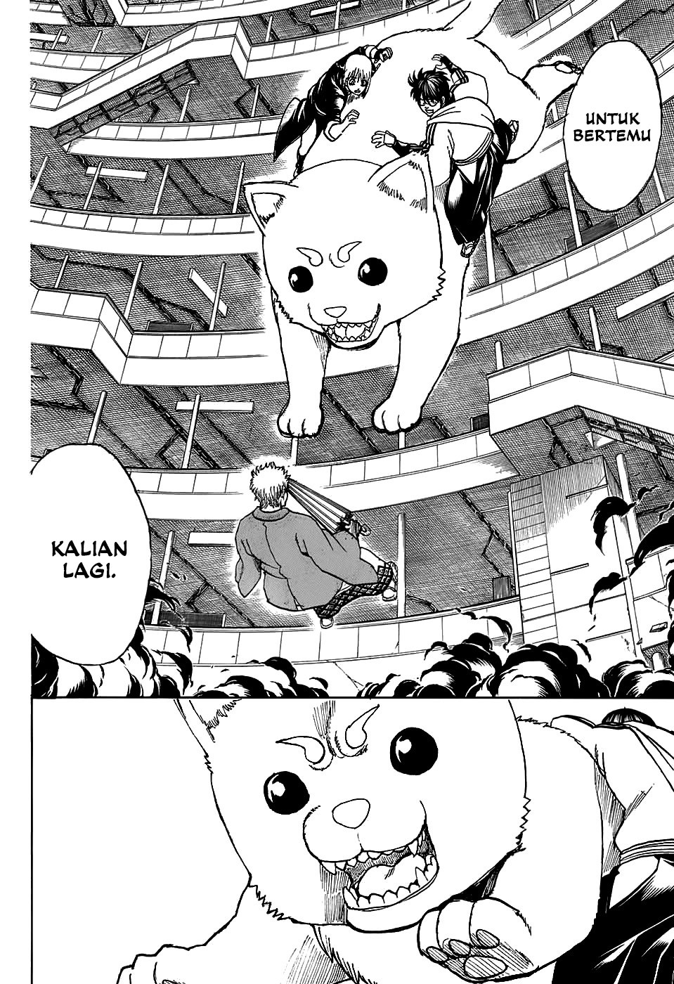 Read Gintama IN Manga Online