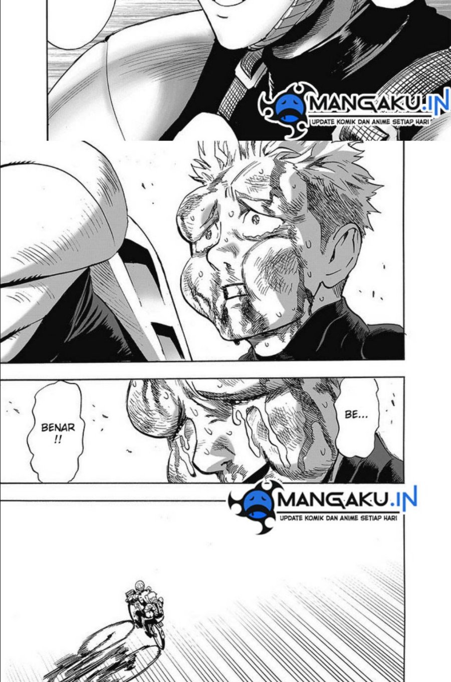 Read One Punch-Man ID Manga Online