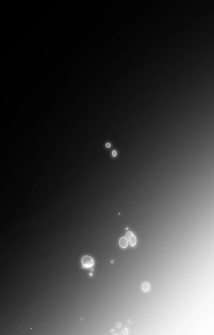 Read Omniscient Reader's Viewpoint IT Manga Online