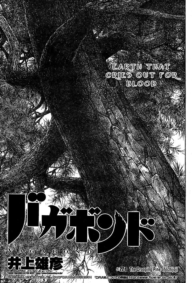 Read Vagabond IT Manga Online