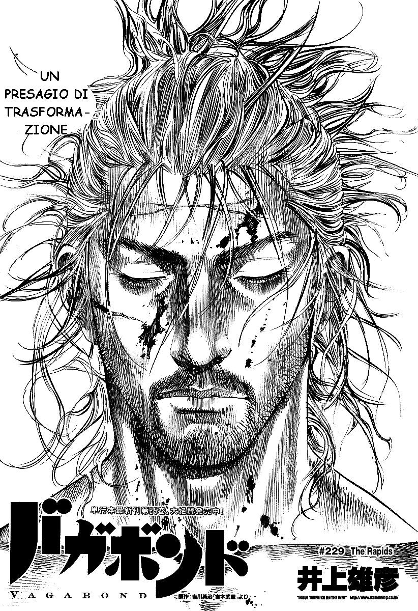 Read Vagabond IT Manga Online