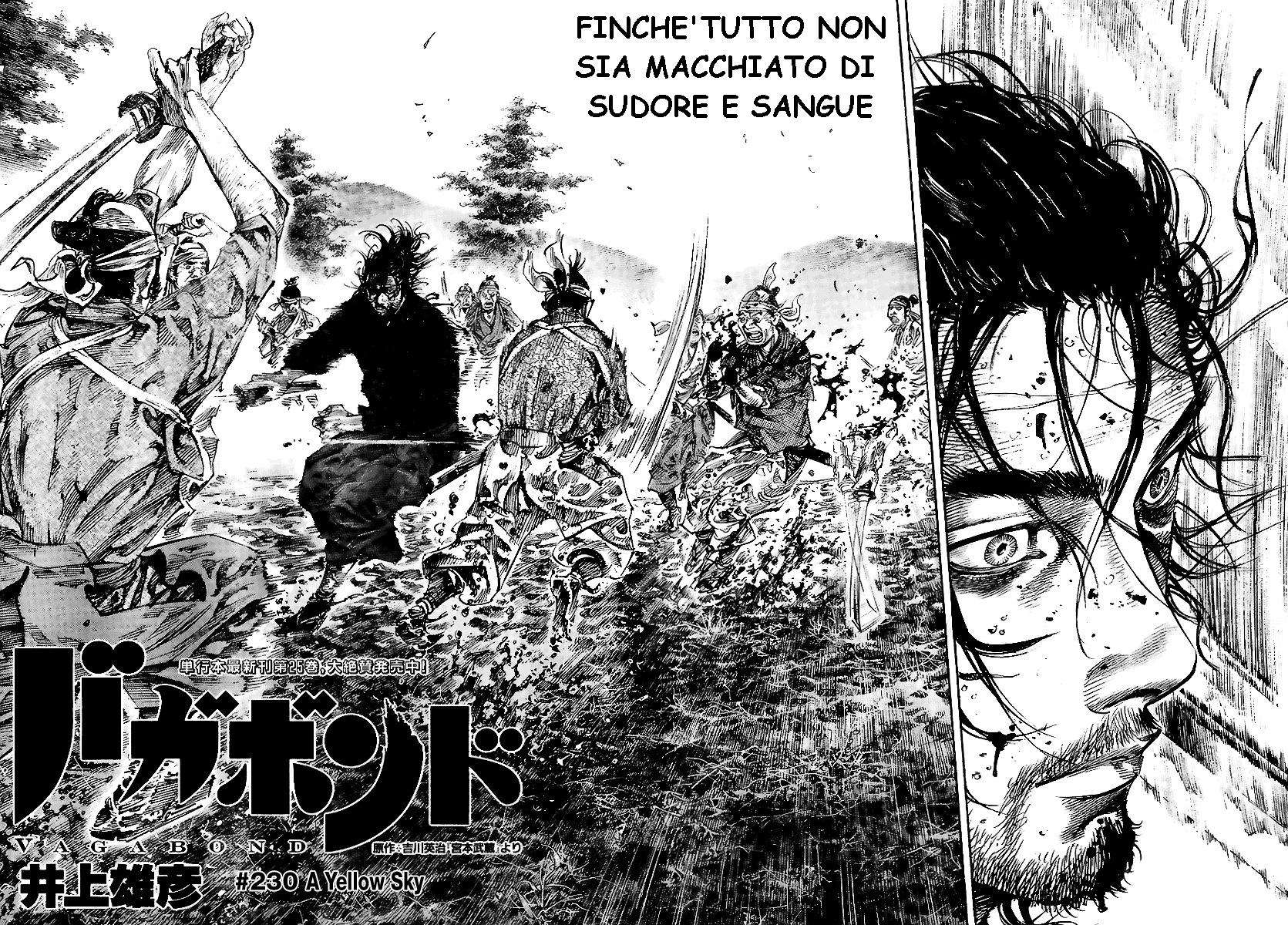 Read Vagabond IT Manga Online