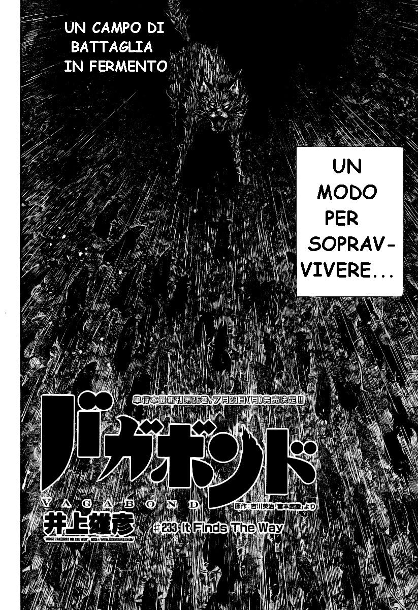 Read Vagabond IT Manga Online