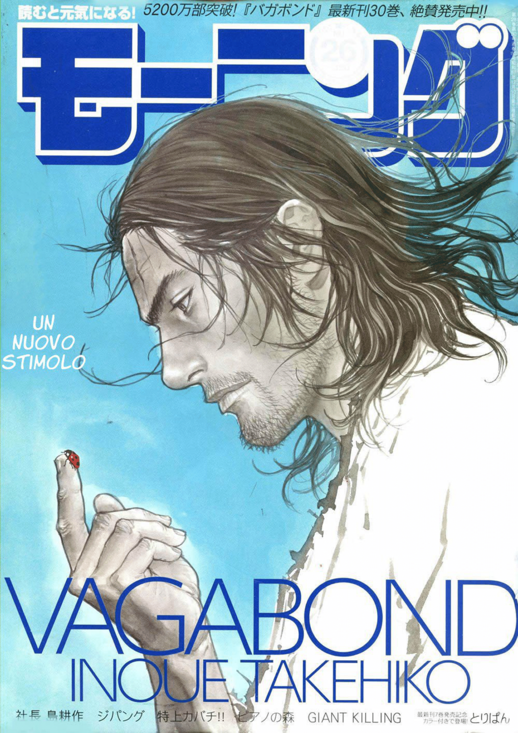 Read Vagabond IT Manga Online
