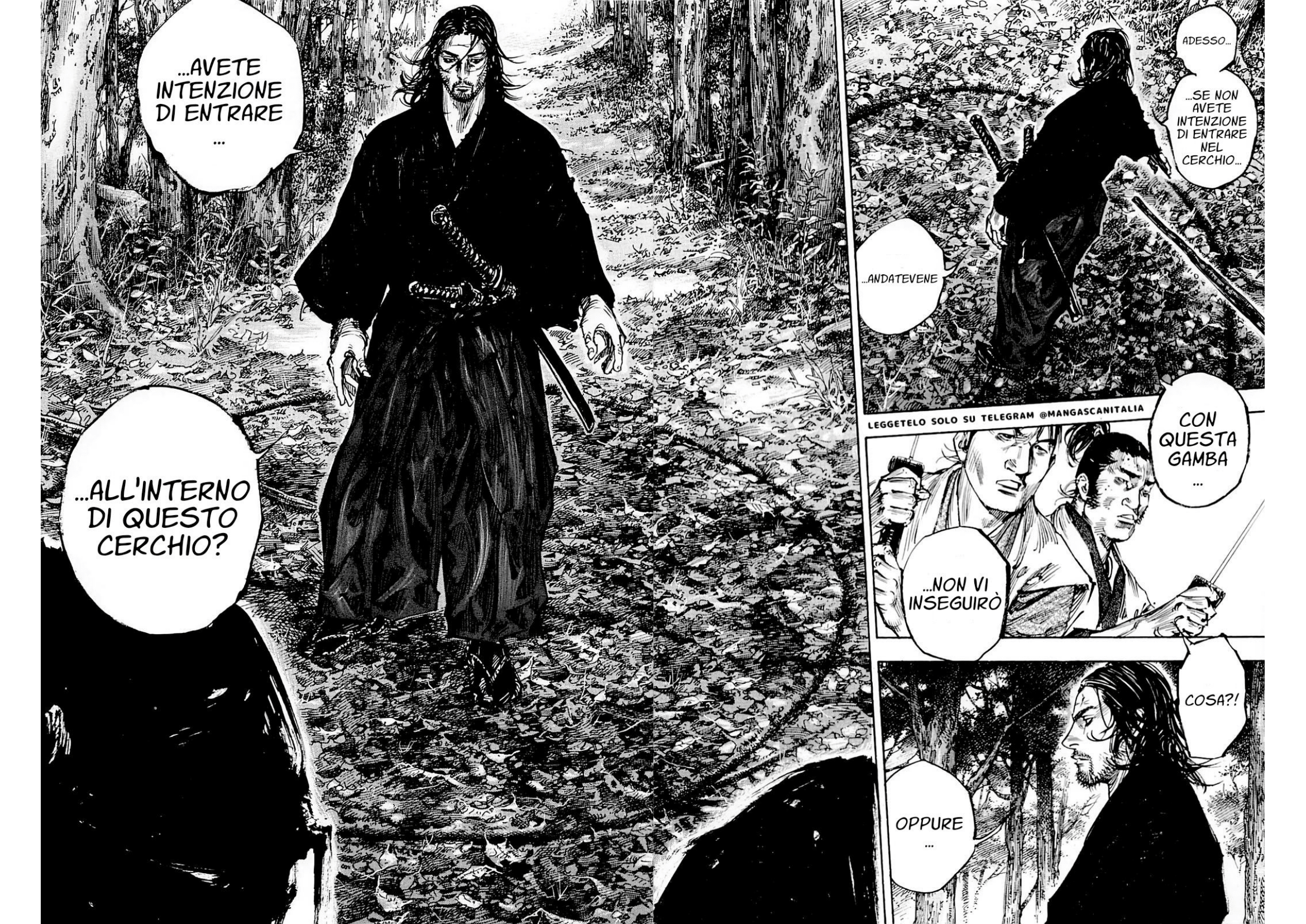 Read Vagabond IT Manga Online
