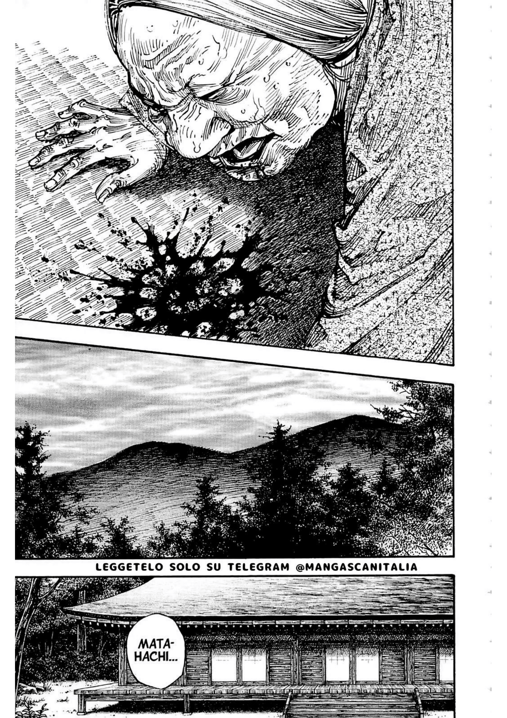 Read Vagabond IT Manga Online