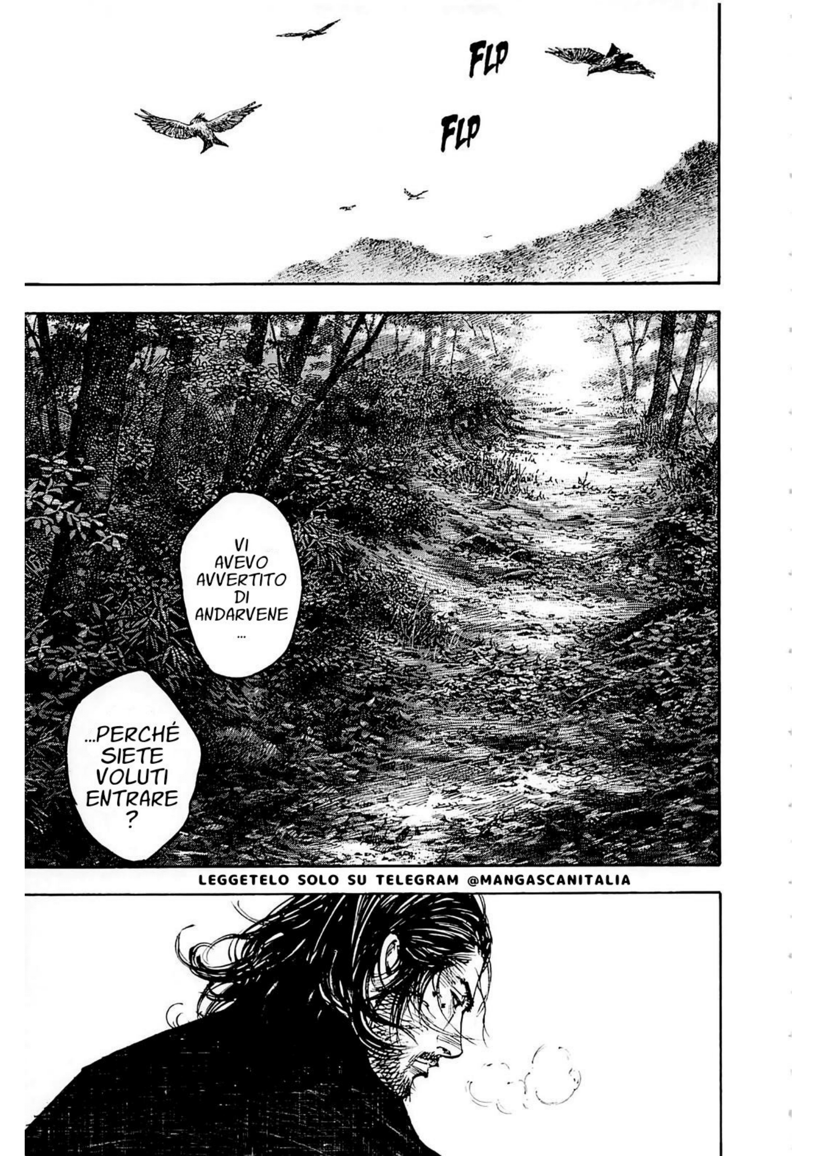 Read Vagabond IT Manga Online