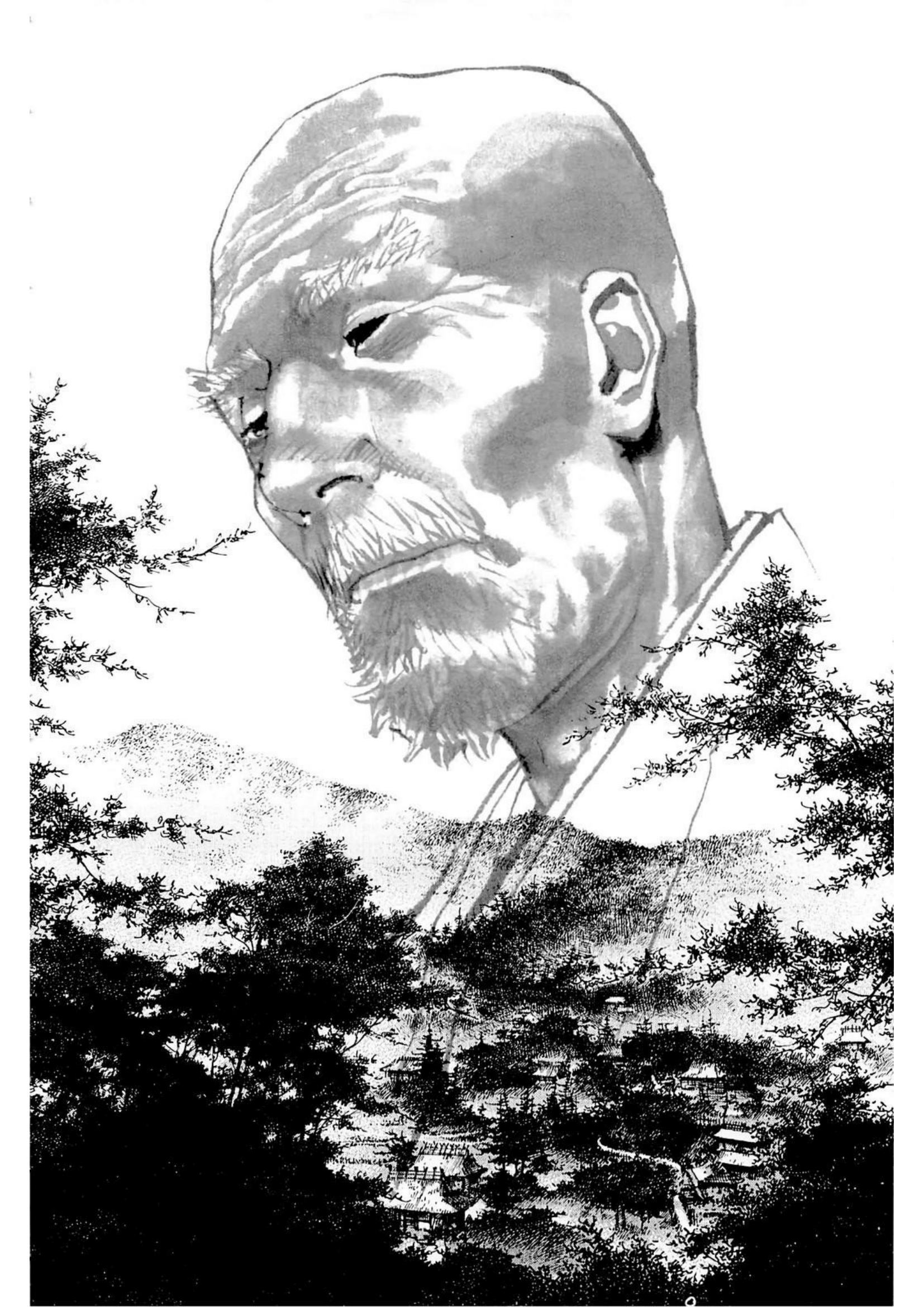 Read Vagabond IT Manga Online