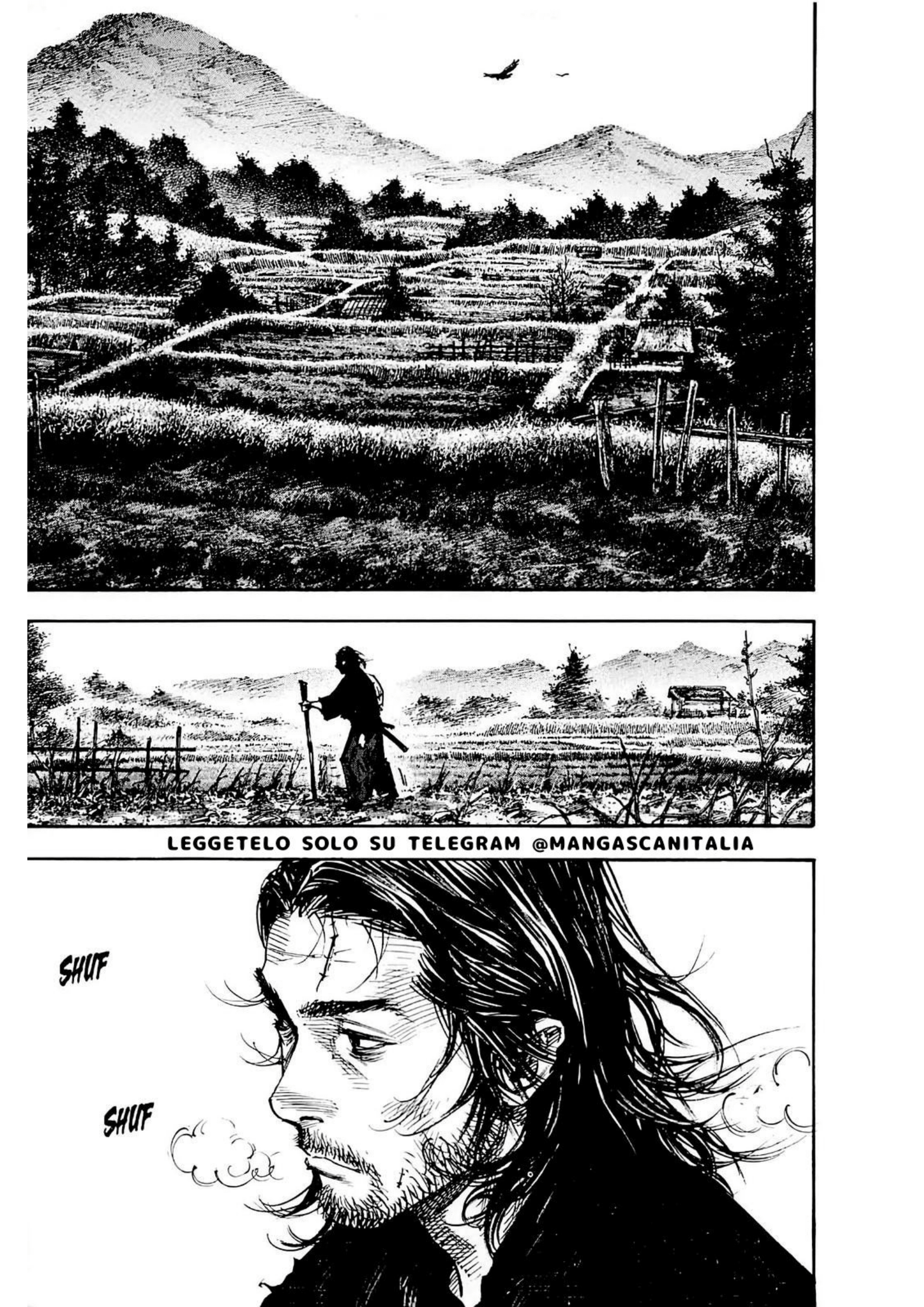 Read Vagabond IT Manga Online